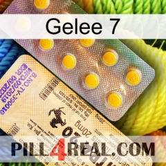 Jelly 7 new06